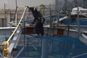 4752925120099140301.f4f292de0bf57c00eb69446f0c97d5c9.22052202